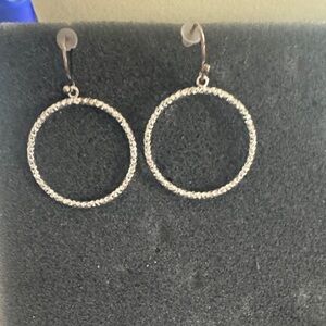 Elegant Silver Hoop Earrings